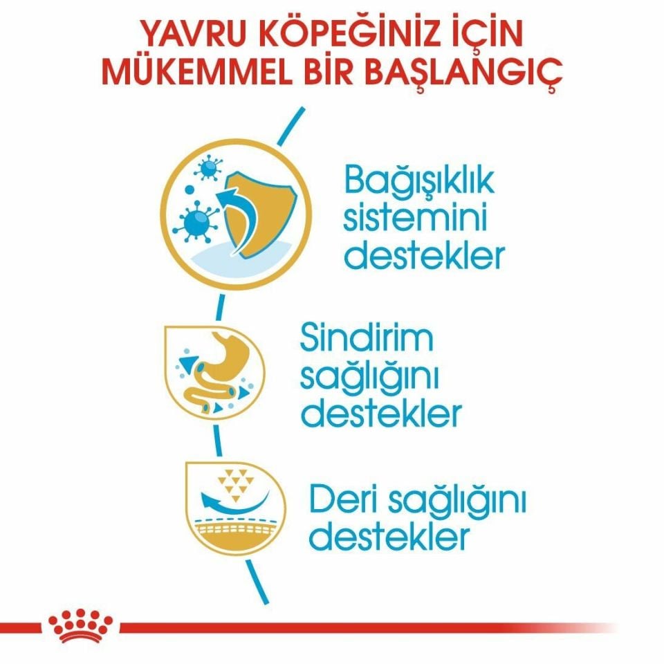 Royal Canin French Bulldog Yavru Köpek Maması 3 Kg