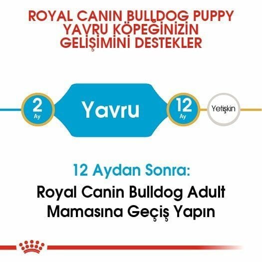 Royal Canin French Bulldog Yavru Köpek Maması 3 Kg