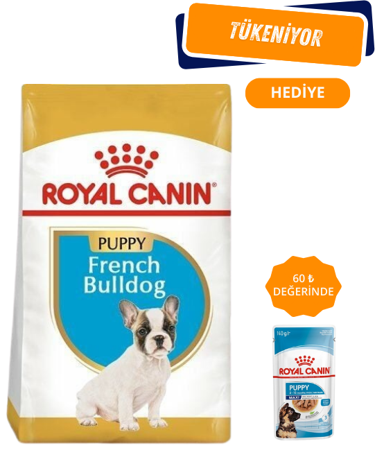 Royal Canin French Bulldog Yavru Köpek Maması 3 Kg