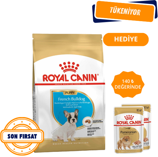 Royal Canin French Bulldog Yavru Köpek Maması 3 Kg