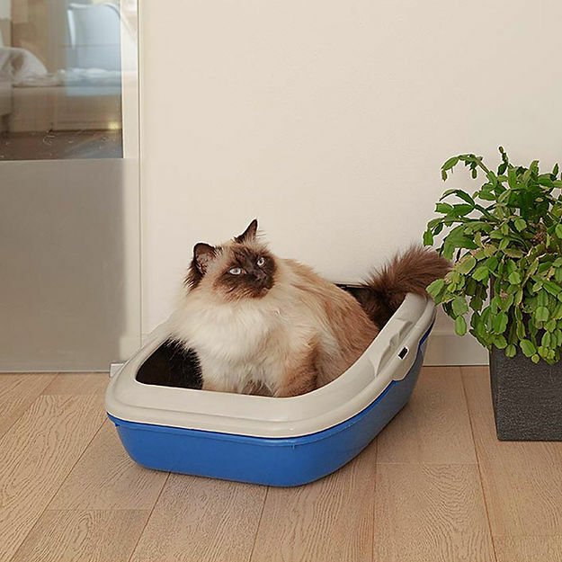 Ferplast Birba Elekli Kedi Tuvaleti