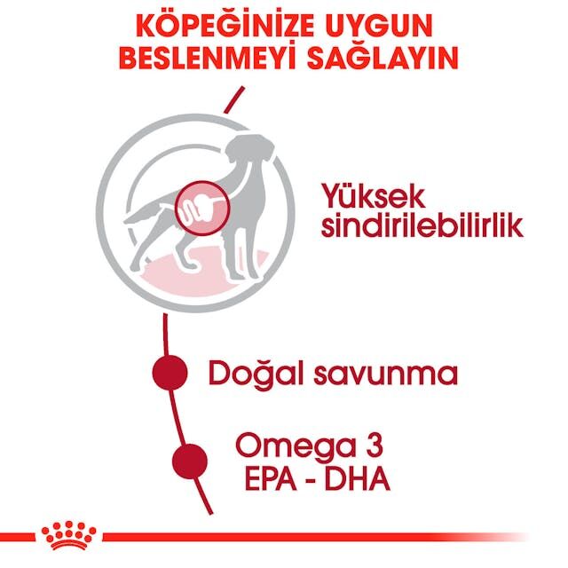 Royal Canin Orta Irk Yetişkin Köpek Yaş Maması 10X140 Gr