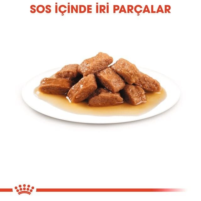 Royal Canin Orta Irk Yetişkin Köpek Yaş Maması 10X140 Gr