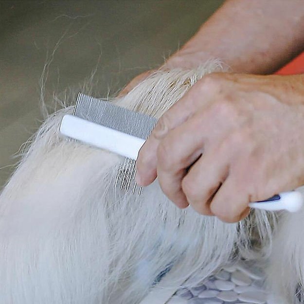 Ferplast  PREMIUM Kedi - Köpek Tüy Topak Açıcı Tarak
