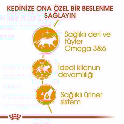 Royal Canin Pouch Jelly Hair Skin Hassas Tüylü Kedi Maması 12X85 Gr