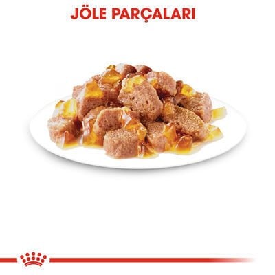 Royal Canin Pouch Jelly Hair Skin Hassas Tüylü Kedi Maması 12X85 Gr