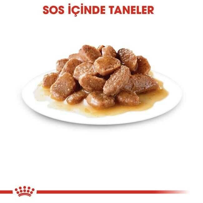 Royal Canin Digest Sensitive Yetişkin Kedi Konservesi 12X85 Gr