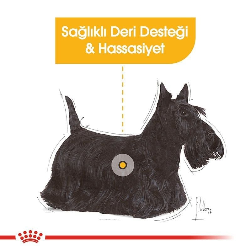 Royal Canin Dermacomfort Loaft Yaş Köpek Maması 12X85 Gr