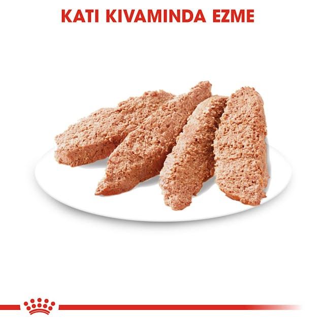 Royal Canin Dermacomfort Loaft Yaş Köpek Maması 12X85 Gr