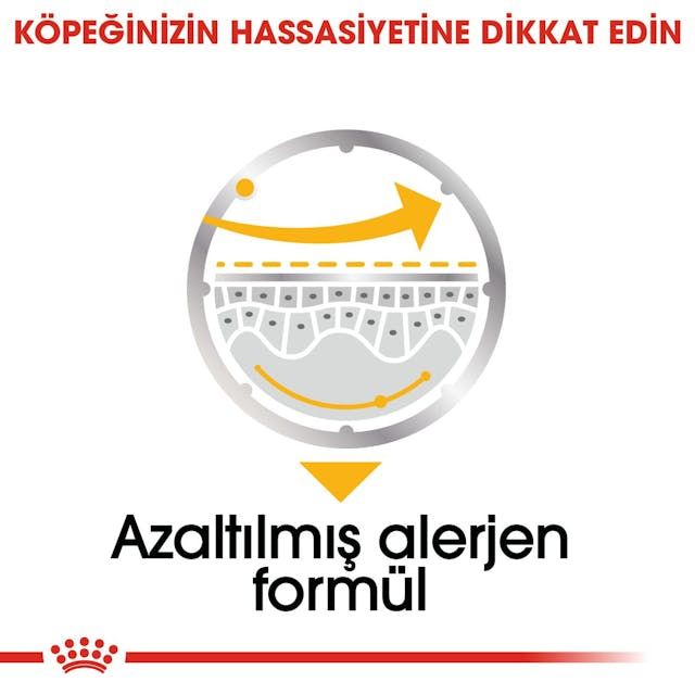 Royal Canin Dermacomfort Loaft Yaş Köpek Maması 12X85 Gr
