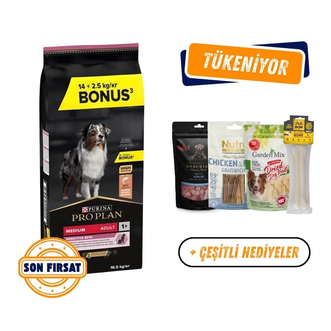Pro Plan Medium Sensitive Skin Somonlu Orta Irk Yetişkin Köpek Maması 16,5 Kg
