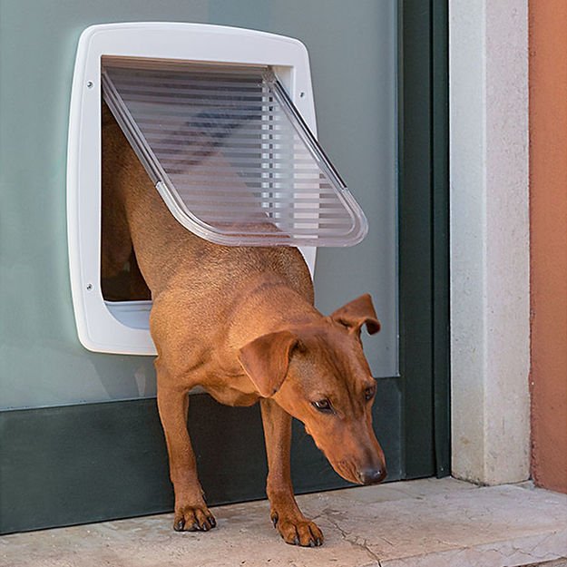 Ferplast Swing 11 Köpekler için Kapı Beyaz