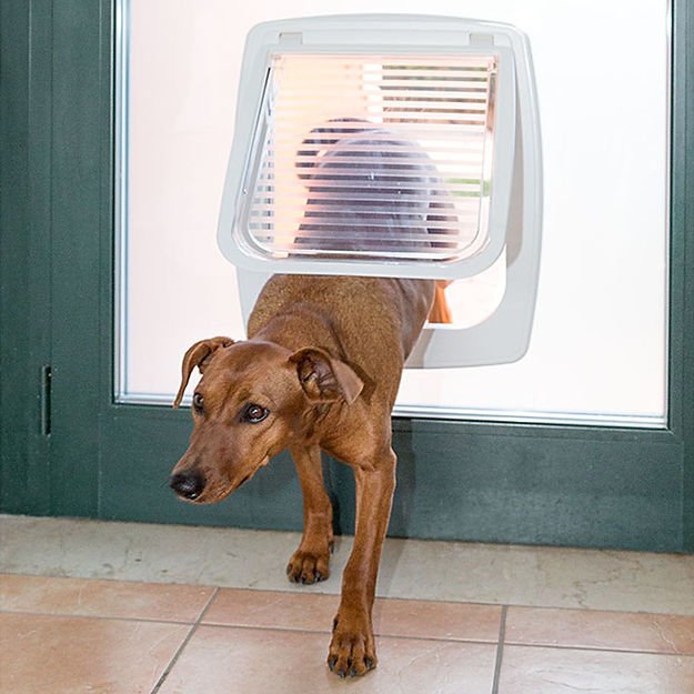 Ferplast Swing 11 Köpekler için Kapı Beyaz