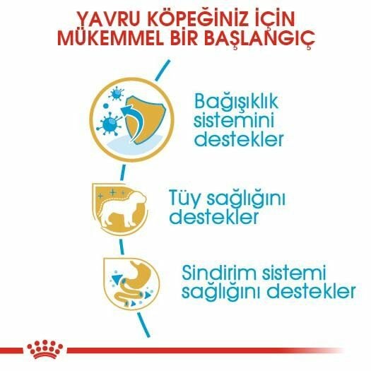 Royal Canin Poodle Junior Yavru Köpek Maması 3 Kg