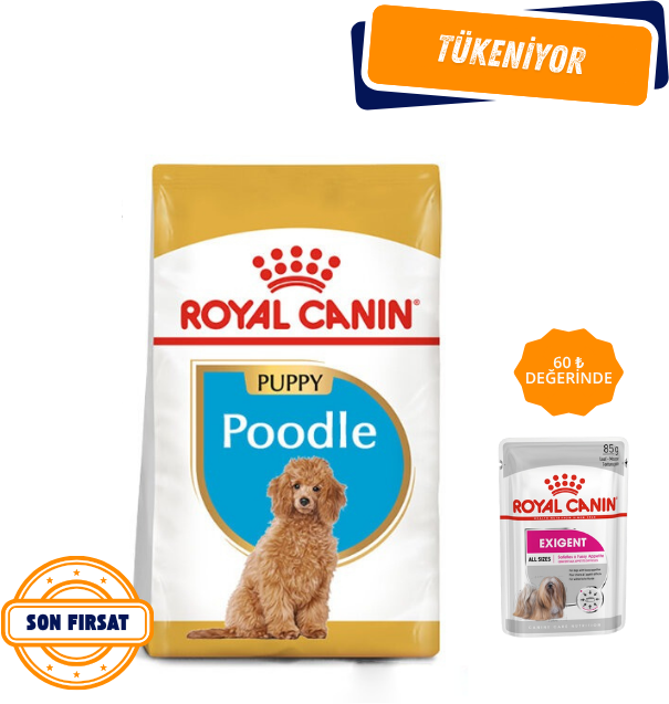 Royal Canin Poodle Junior Yavru Köpek Maması 3 Kg