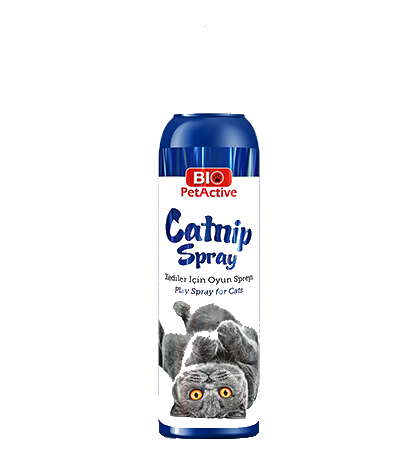 Petquatro Bio Catnip Spray Kedi Oyun Spreyi 100 ML