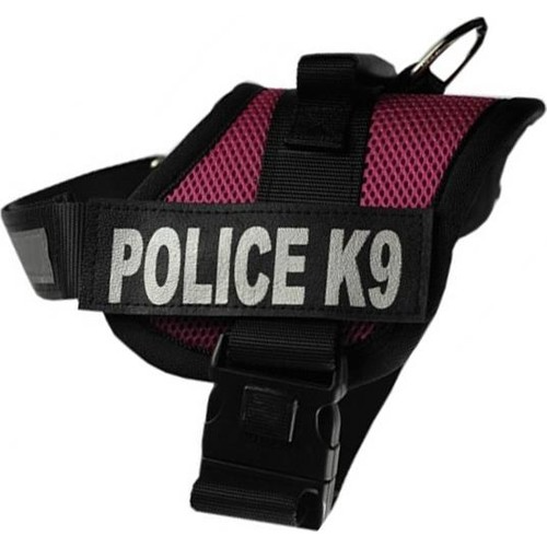 Pet Style K-9 Özel Köpek Bel Tasması No: 3