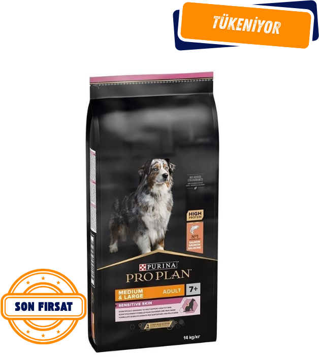 Pro Plan Medium&Large Senior +7 Somonlu Yaşlı Köpek Maması 14 Kg
