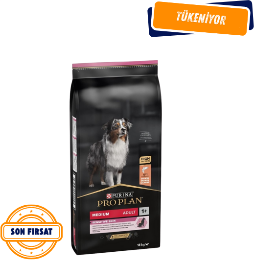 Pro Plan Medium&Large Senior +7 Somonlu Yaşlı Köpek Maması 14 Kg