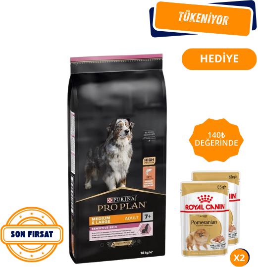 Pro Plan Medium&Large Senior +7 Somonlu Yaşlı Köpek Maması 14 Kg