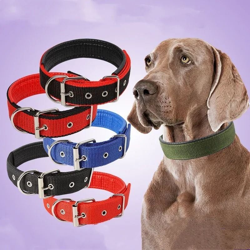 Pet Style Naylon Lüks Köpek Boyun Tasması