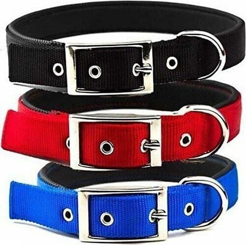 Pet Style Yumuşak Dokulu Köpek Boyun Tasması İnce