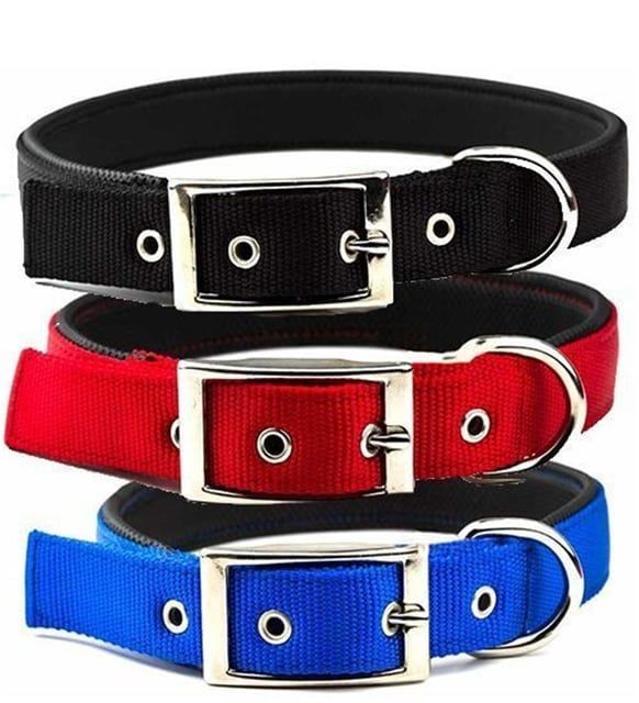 Pet Style Yumuşak Dokulu Köpek Boyun Tasması XL