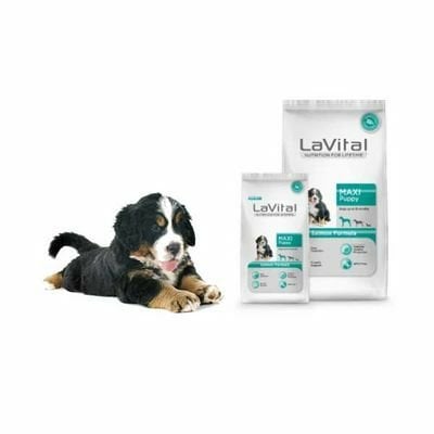LaVital Maxi Puppy Büyük Irk Yavru Köpek Maması 15 Kg
