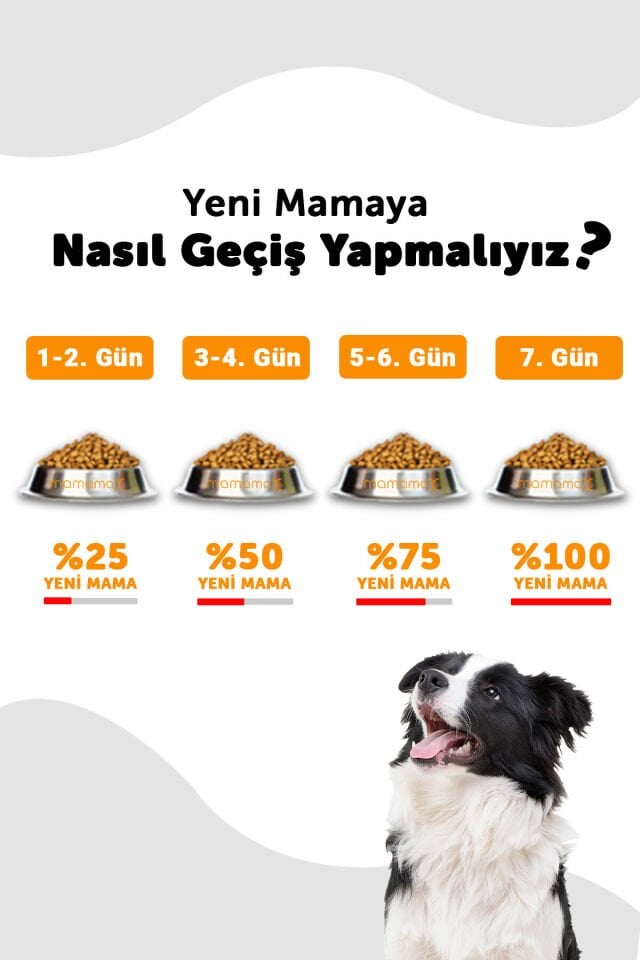 LaVital Maxi Puppy Büyük Irk Yavru Köpek Maması 15 Kg