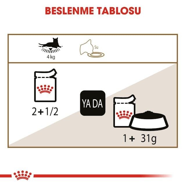 Royal Canin 12 yaş ve Üzeri Kediler için Yaş Kedi Maması 12x85g