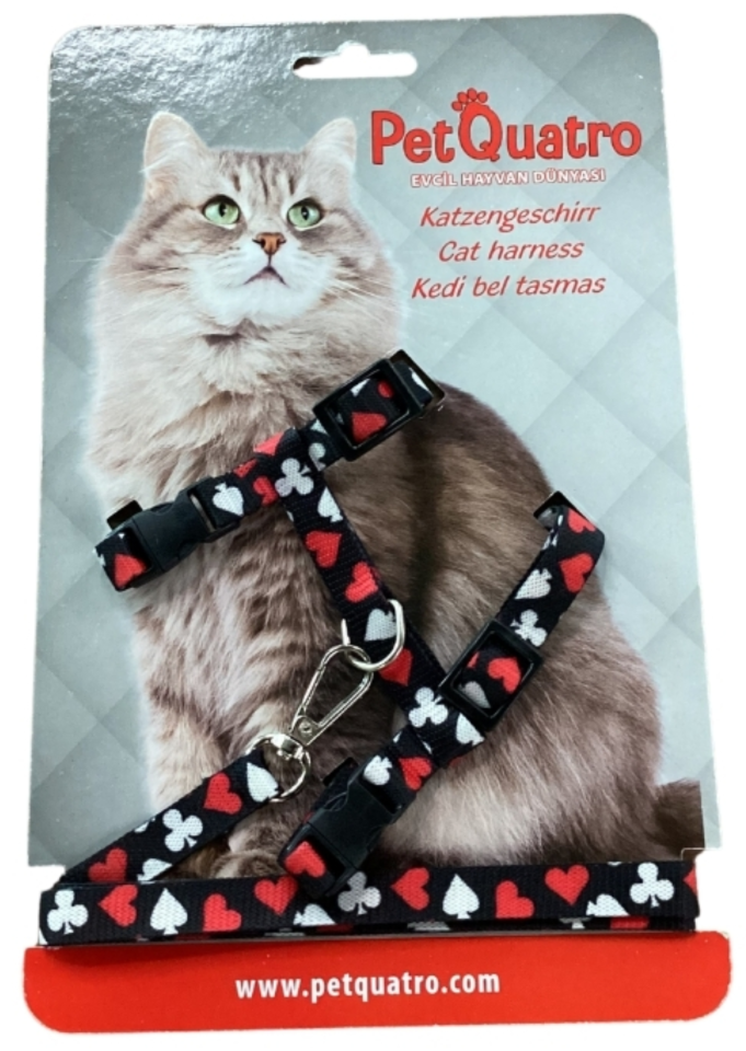 PetQuatro Kedi Göğüs Tasması