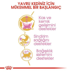 Royal Canin Kitten British Shorthair Yavru Kedi Maması 2 Kg