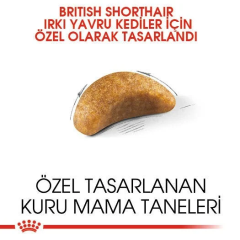 Royal Canin Kitten British Shorthair Yavru Kedi Maması 2 Kg