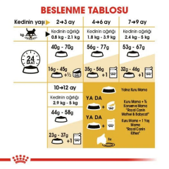 Royal Canin Kitten British Shorthair Yavru Kedi Maması 2 Kg