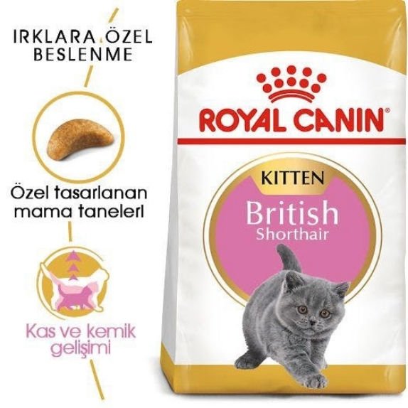 Royal Canin Kitten British Shorthair Yavru Kedi Maması 2 Kg