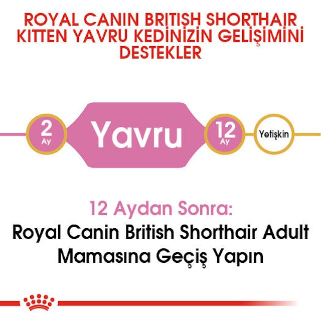Royal Canin Kitten British Shorthair Yavru Kedi Maması 2 Kg
