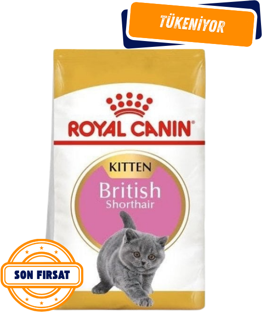 Royal Canin Kitten British Shorthair Yavru Kedi Maması 2 Kg