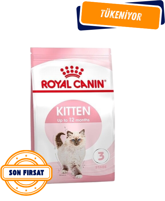 Royal Canin Kitten Yavru Kedi Maması 2 Kg